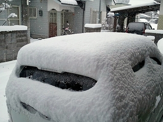 25cm�`30cm�̐ϐ�!!